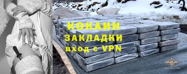 ПСИЛОЦИБИНОВЫЕ ГРИБЫ Чекалин