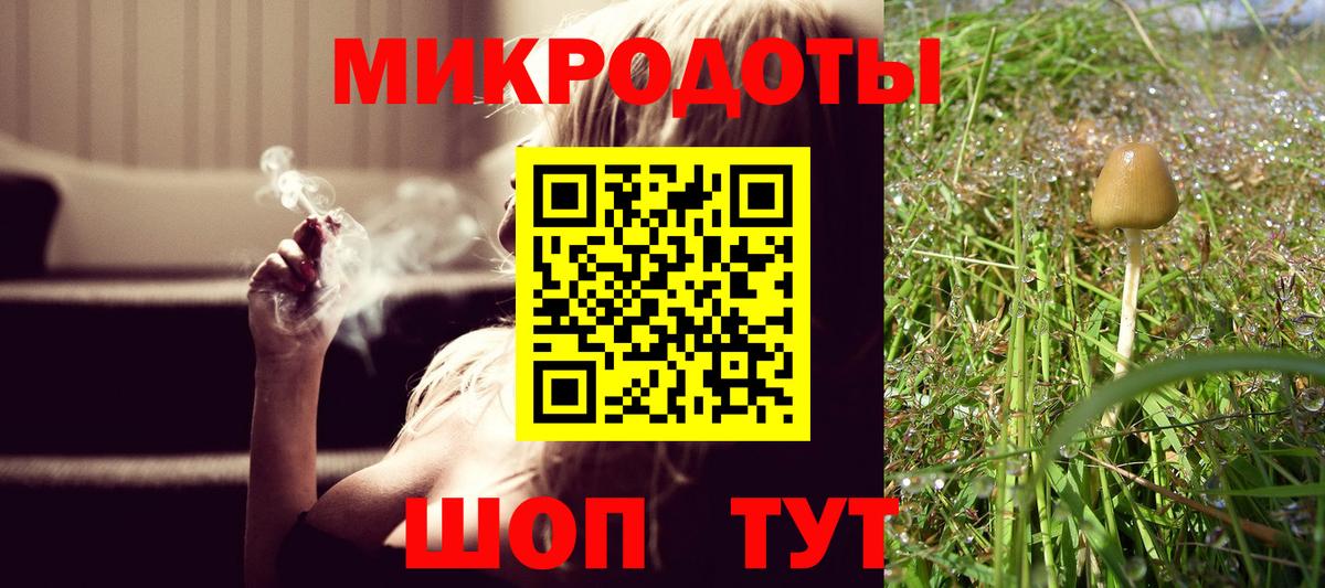 Галлюциногенные грибы мухоморы Луга